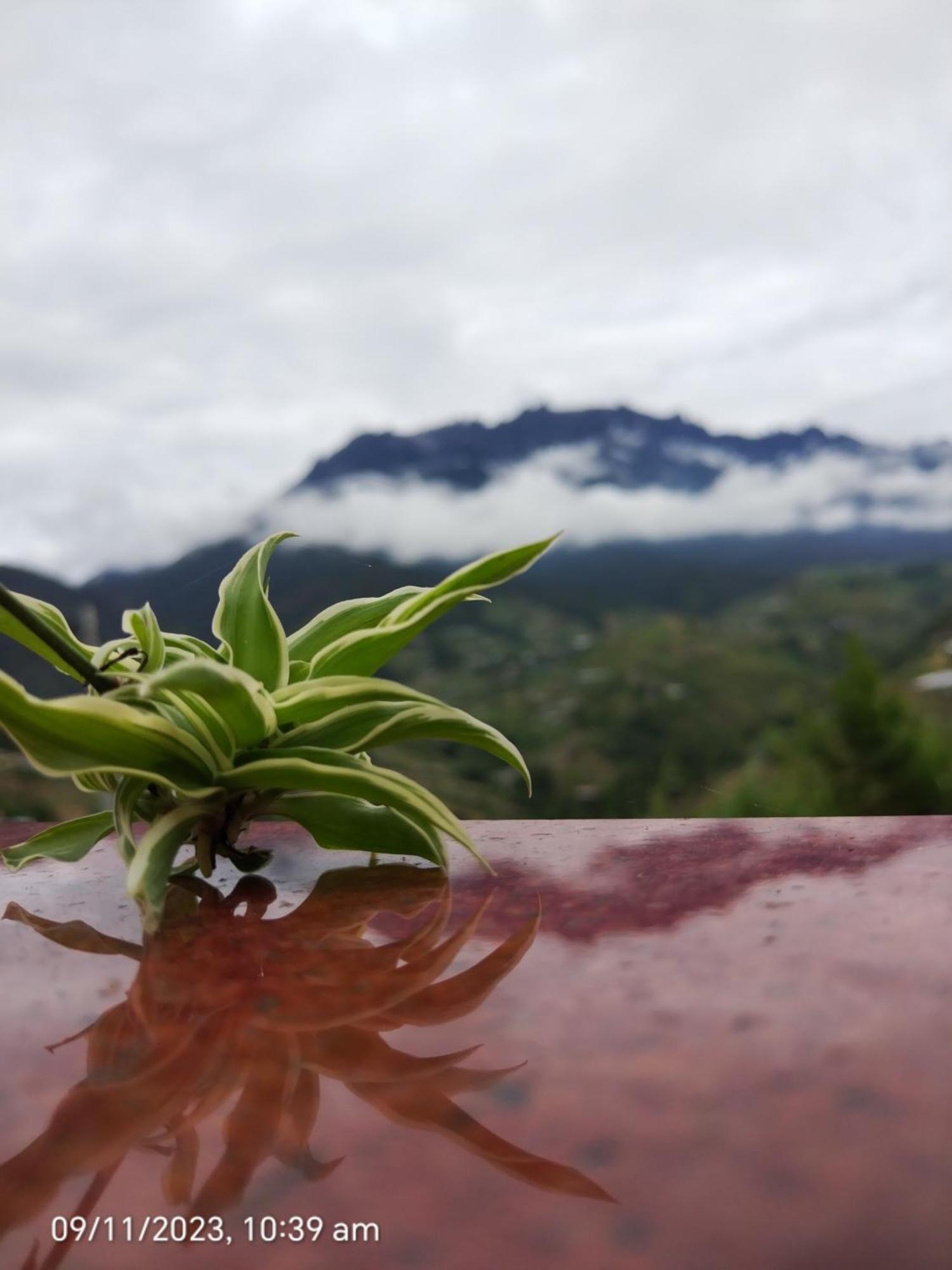 Highland Homestay Kundasang Ranau Esterno foto